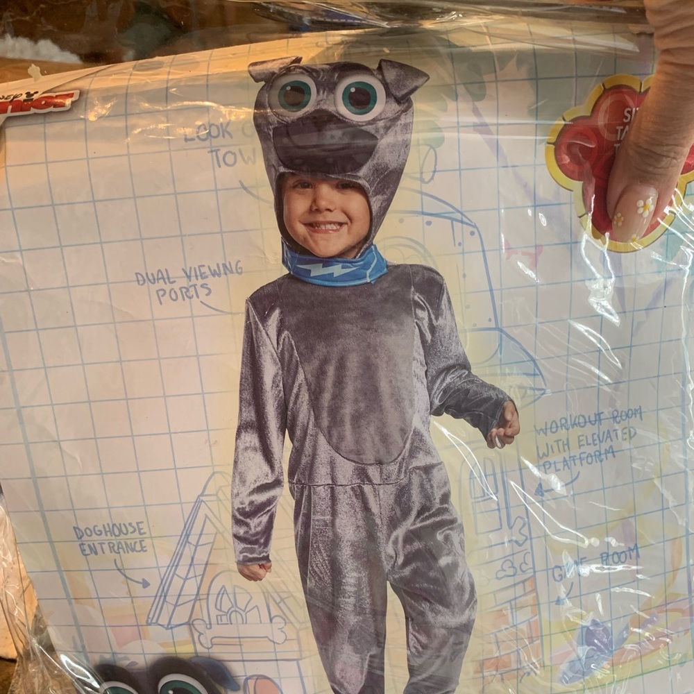 Boys Disney Junior Bingo costume 3T